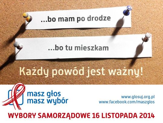 Wybory samorządowe - zobacz jak głosować