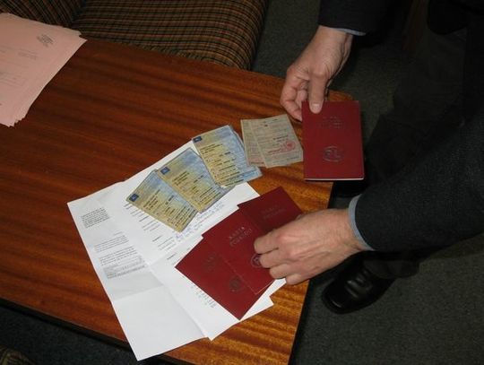 Wyłudzili kredyty na 350 tys. zł. Szajki oszustów w areszcie