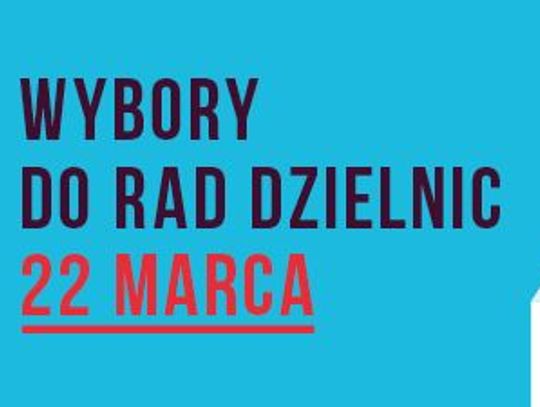 Wyniki wyborów do Rady Dzielnic w Gdańsku