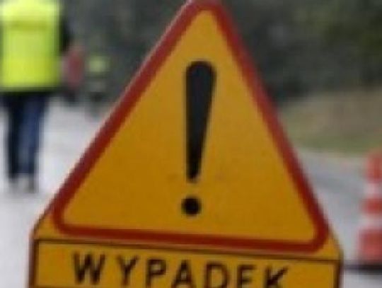 WYPADEK: Dachowanie auta po zderzeniu z sarną