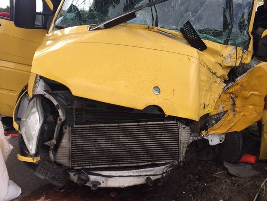 WYPADEK: Samochód kurierski uderzył w drzewo 