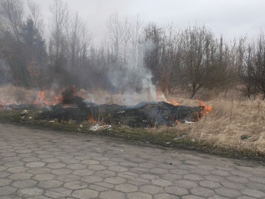 Wypalanie traw szkodzi nam i przyrodzie