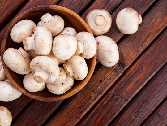 Wyposażenie pieczarkarni a regały — czym się kierować przy wyborze?