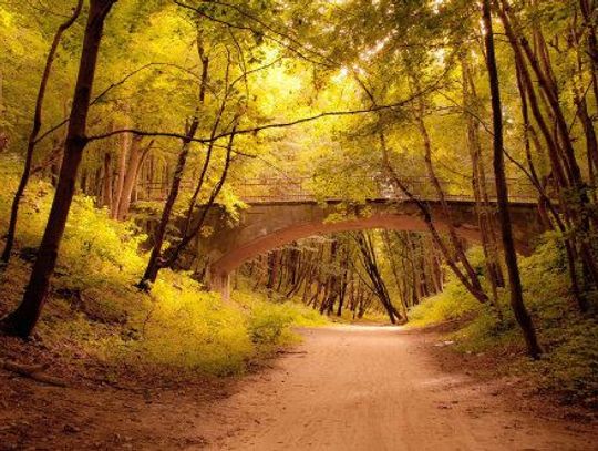 Wyrok na Mostku Weisera. Będzie duży wybuch