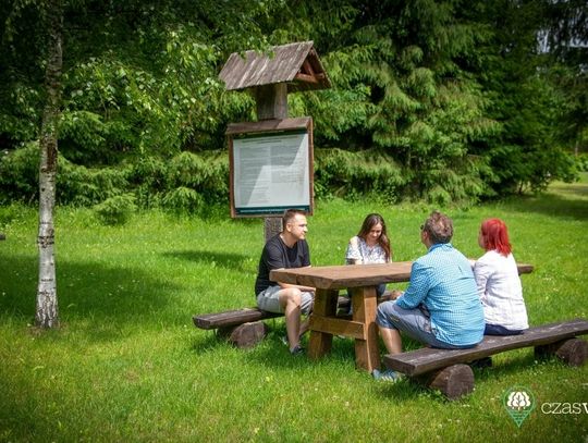 Wyrwij się z miasta do lasu dzięki czaswlas.pl