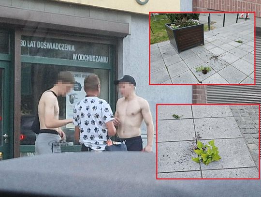 Wyrywał kwiaty, terroryzował ludzi i wchodził pod samochody! Mężczyzny nie udało się zatrzymać
