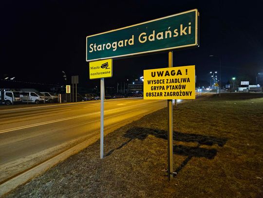 Wysoce zjadliwa grypa ptaków. Starogard w obszarze zagrożonym