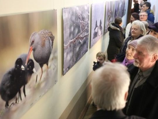 Wystawa fotografii przyrodniczej