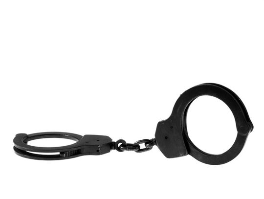 Wyzywali policjantów i... trafili do aresztu