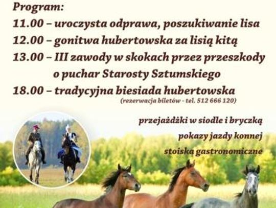 XVI Hubertus w Sztumskim Polu
