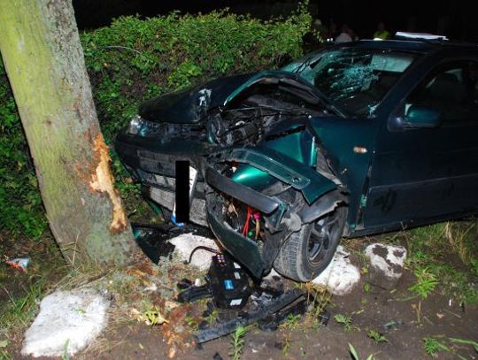 Z 3 promilami w 18-latka i drzewo