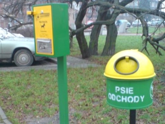 Z psimi kupami na biurko prezydenta