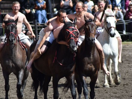 Za nami Gniewinki 2017: ekscytujące konkurencje na koniach i wiele atrakcji dla dzieci