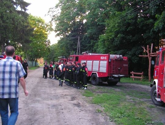 Zabłądził między grzybami