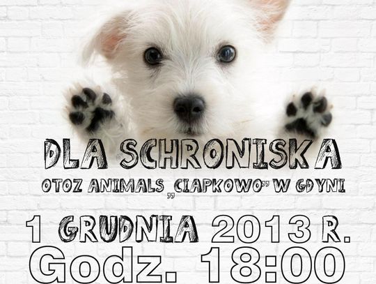 Zagrają dla bezdomnych z "Ciapkowa"