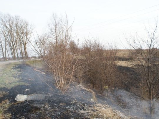 Zagrożenie nie tylko dla przyrody. Surowe kary za wypalanie traw