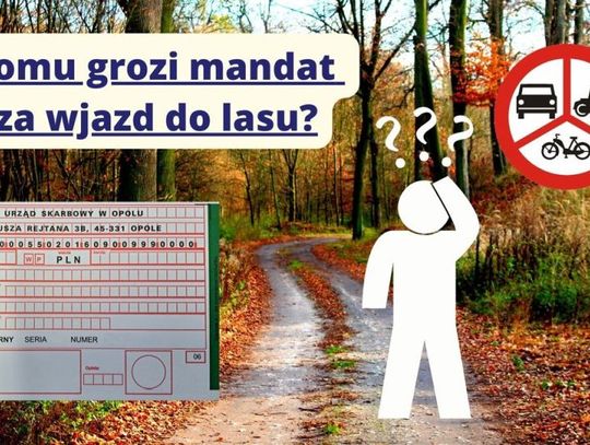 Zakaz wjazdu do lasu – przypomnienie o przepisach i apel o ochronę natury