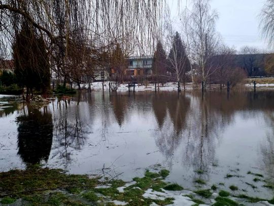 Zalana posesja w Kamionce. Interweniowały jednostki OSP