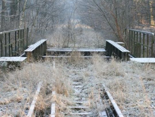 Zamiast torów ścieżka dla rowerów. Dewastacja postępuje. Gminy chcą przejąć tereny po nieczynnej linii kolejowej