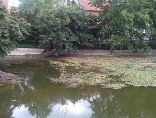 Zaniedbana i cuchnąca. Wkrótce może się to zmienić