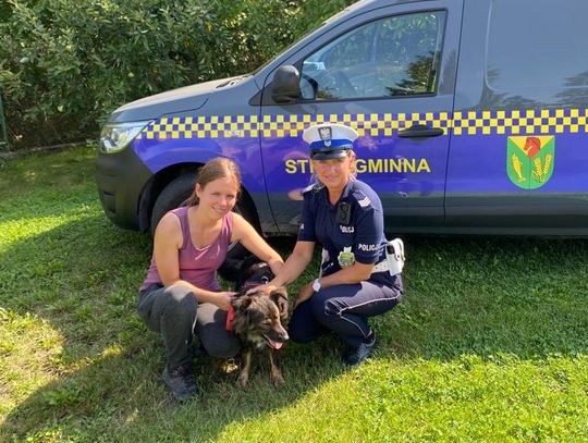 Zaniedbane psy otrzymają opiekę, dzięki interwencji dzielnicowych