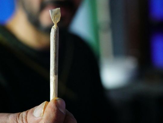 Zaparkował na zakazie, będąc bez uprawnień i pod wpływem marihuany