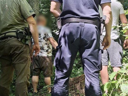 Zapobiegli dalszej nielegalnej wycince drzew