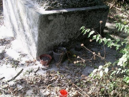 Zapomniany w 70. rocznicę śmierci. Chaszcze i nieporządek zamiast zniczy i kwiatów