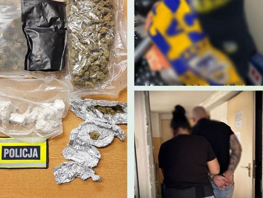 Zarzuty za pobicie, groźby karalne i prowadzenie „magazynku” z narkotykami w... garażu