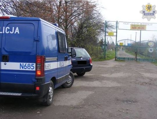 Zatrzymani na ogródkach działkowych