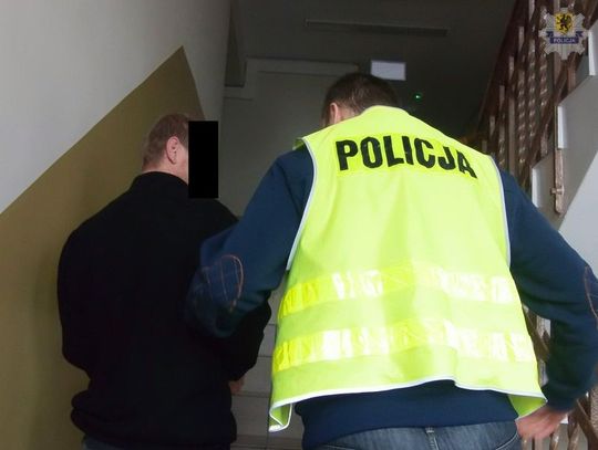 Zatrzymani sprawcy kradzieży