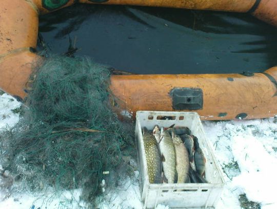 Zatrzymano dwóch kłusowników