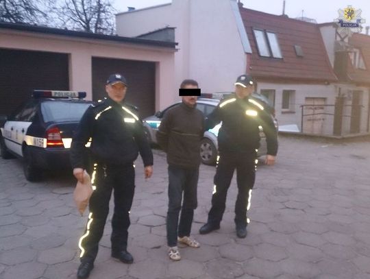 Zatrzymano osobę podejrzaną o zabicie i znęcanie się nad psami