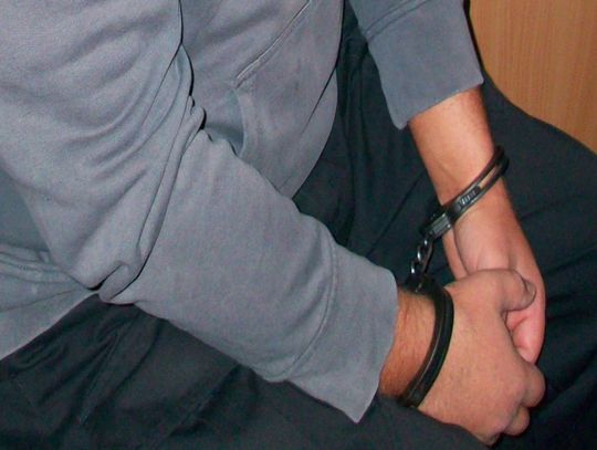 Zatrzymano podejrzanego o morderstwo. Dziewczynka nie wróciła ze szkoły, znaleziono ją martwą w lesie