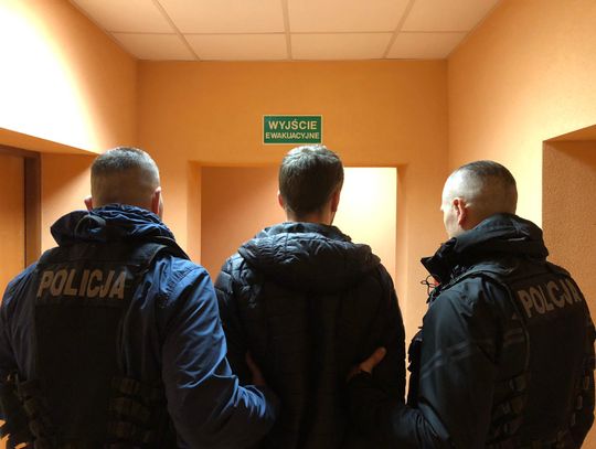 Zatrzymano podejrzanych w sprawie zabicia żubra