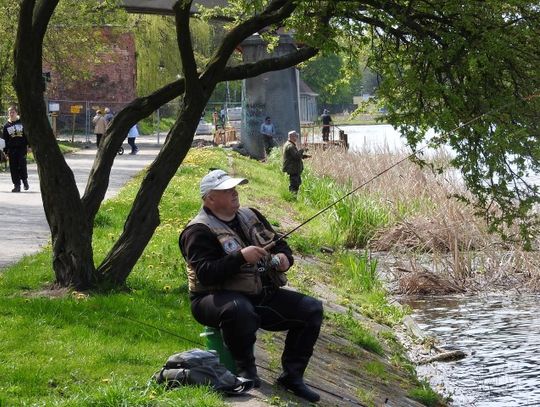 Zawody o puchar burmistrza