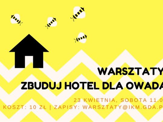 Zbuduj hotel dla owada! Warsztaty w IKM 