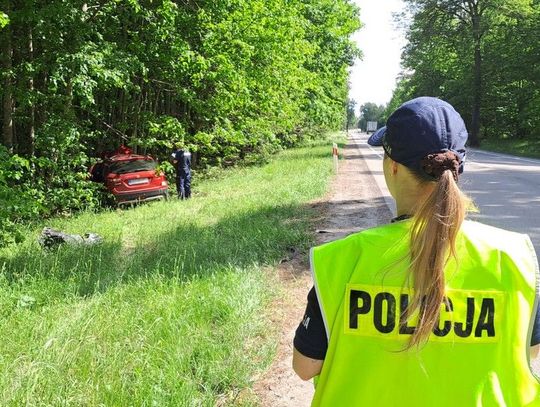 Zderzenie samochodu z łosiem na DK 22. Policjanci apelują o ostrożność
