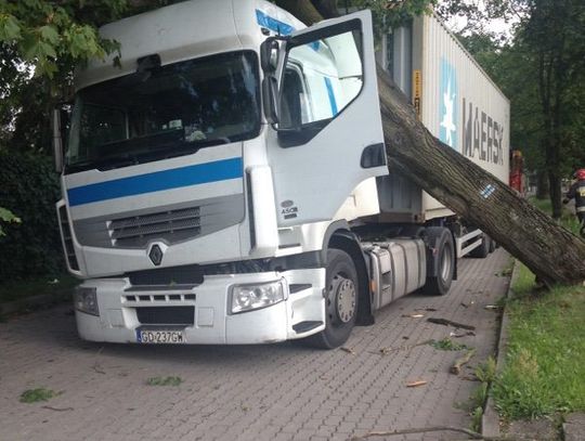 ZDJĘCIA: Drzewo spadło na samochód ciężarowy