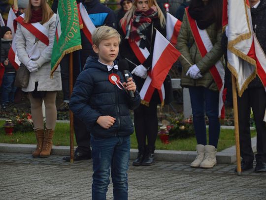 [ZDJĘCIA] Festyn, koncert i laserowe show na Święto Niepodległości