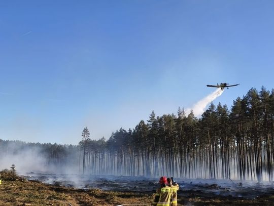 [ZDJĘCIA] Wielka akcja gaśnicza w powiecie sztumskim. Las stanął w ogniu