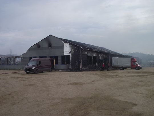 ZDJĘCIA: Wielki pożar zakładu produkcji mebli