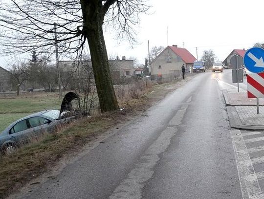 ZDJĘCIA Zjechał na pobocze i uderzył w drzewo - pierwszy atak zimy?