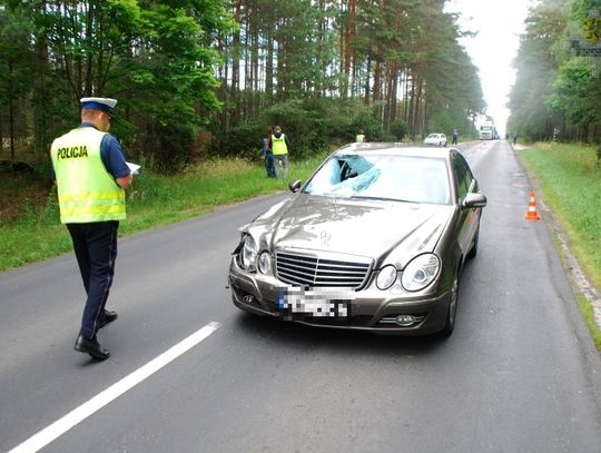 Zginął 85-letni rowerzysta