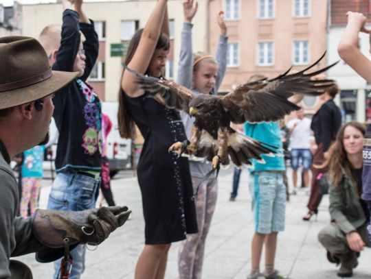 &quot;Zielona Moc&quot; zagościła na starogardzkim Rynku. Zobacz zdjęcia!
