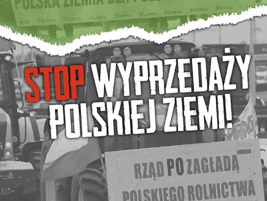 Ziema na wyprzedaży - dla każdego?