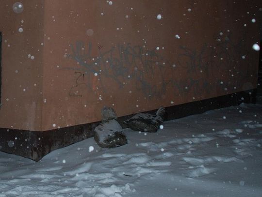 Złapani na gorącym uczynku – kradli węgiel