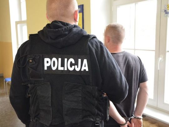 Zlikwidowana rodzinna uprawa marihuany