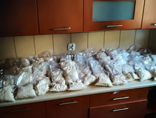 Zlikwidowane dwa magazyny i przejęte narkotyki warte 6 mln złotych