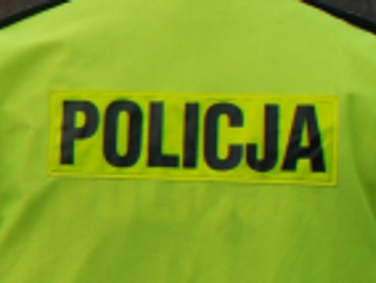 Zlikwidowano uprawę konopii indyjskich